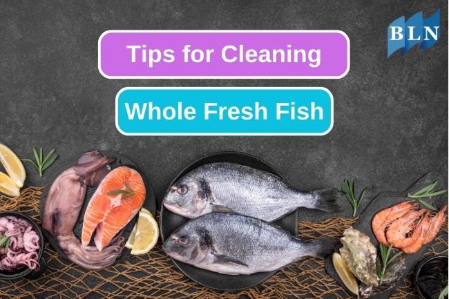 A Step-by-Step Guide to Cleaning Fresh Fish